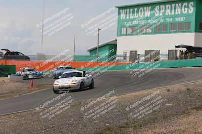 media/May-03-2025-Lucky Dog Racing (Sat) [[206de64b9d]]/Turn 4 B (1150am-130pm)/